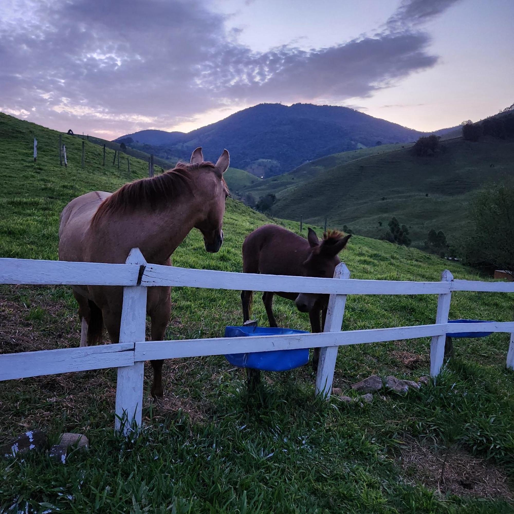 Pousada Vale Monte Azul Santo Antônio do Pinhal Dış mekan fotoğraf